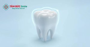 Men răng là lớp bao phủ bên ngoài cùng của răng, có chức năng bảo vệ và ngăn ngừa vi khuẩn xâm nhập